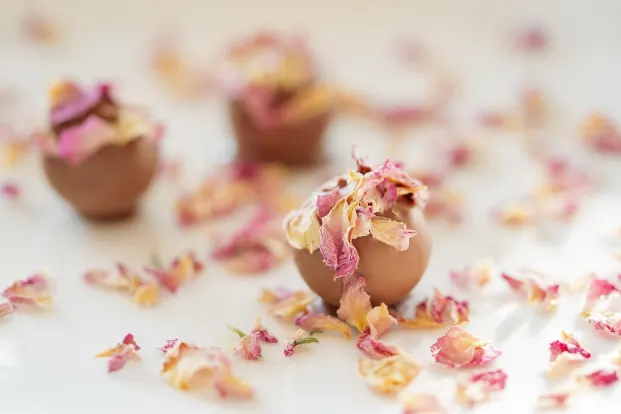 Crystal Kasino Apl Android/iOS