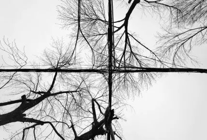 Crystal Kasino Apl Mudah Alih